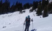 Trail Touring skiing La Bâthie - La pointe de Lavouet - Photo 4