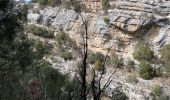 Tocht Stappen La Palud-sur-Verdon - Bastidon la palud  - Photo 4