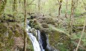 Tour Wandern Leienkaul - cascade - Photo 4