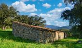Trail Walking Le Plan-de-la-Tour - Autour du rocher de San Peyre - Photo 17