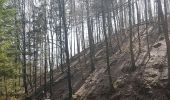Trail Walking Niederbronn-les-Bains - Grand Wintersberg & plan d'eau Wolfartshoffen - Photo 13