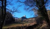 Excursión Marcha nórdica Seyssins - Voie du Tram en circuit jusqu'au Ravaud - Photo 1