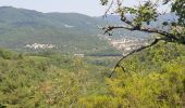 Tour Wandern Les Aires - les aires, chapelle Saint Michel  - Photo 3