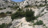 Tour Wandern Marseille - Vallon des Chalabran et des Rampes - Photo 5