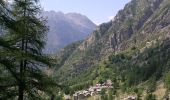 Tour Zu Fuß Fontainemore - Alta Via n. 1 della Valle d'Aosta - Tappa 4 - Photo 10