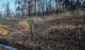 Percorso A piedi Wangen im Allgäu - Wanderweg 12 Wangen im Allgäu - Photo 1