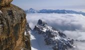 Tocht Te voet Tarvisio - Sentiero Re di Sassonia - Photo 3