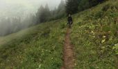 Trail Walking Les Gets - Mont Chery + Hors piste - Photo 5