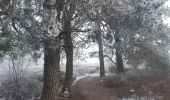 Trail Walking Spa - autour de berinzenne - mousseux - Photo 11