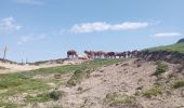 Tocht Stappen Saint-Pierre-de-Chartreuse - grand sure - Photo 13