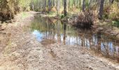 Trail Walking Seignosse - les Landes  - Photo 14