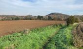 Tocht Stappen La Louvière - Saint-Vaast / Terrils / 2020-11-03 / 15 km - Photo 4