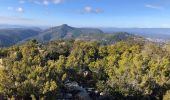 Tour Wandern Saint-Raphaël - Les Suvières et le Marsaou depuis Notre Dame - Photo 8