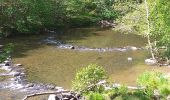 Tocht Stappen Libin - balade du dimanche entre eau et forêt  - Photo 9