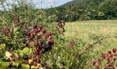 Tour Wandern Val-Revermont - Le mont Myon  - Photo 10