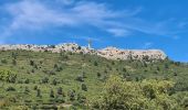 Randonnée Marche Évenos - Toulon Col du corps de garde Mont Caume - Photo 1