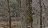 Trail Walking Eupen - 20250224 - Eupen 7.4 Km - Photo 16