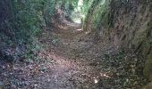 Tocht Stappen Tréméven - Boucle de St Jacques à Tréméven,22 - Photo 11