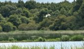 Tour Nordic Walking Vendays-Montalivet - Marais de la Perge - Photo 9