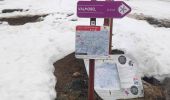 Trail Walking Les Avanchers-Valmorel - Valmorel par l'Ormay - Photo 11