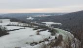 Tour Wandern Neupré - Roche aux Faucons - Boucle de l'Ourthe  - Photo 1