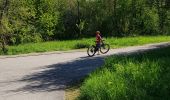 Tocht Mountainbike Mutzig - parcours test VTTAE Mutzig  - Photo 18