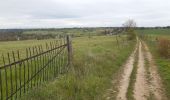 Tour Wandern Trooz - forêt  . st hadelin  . hansez . en gelivaux . foret - Photo 9