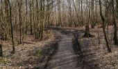 Percorso Marcia Gembloux - Corroy / Grand-Manil - Photo 4