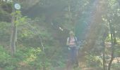 Trail Walking Badonviller - La Vierge Clarisse VOSGES - Photo 14