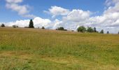 Excursión Senderismo Belmont - Tour du Champ du Feu - Photo 13