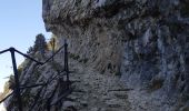 Tour Wandern Bellecombe-en-Bauges - montagne du charbon : montée par la piste Reposoir. col de bornette . refuge de la combe / retour même itinéraire sauf par les champs et bois depuis bornette  - Photo 12