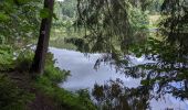 Tour Zu Fuß Moldautein - NS Semenec - Photo 6