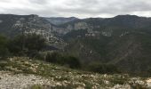 Tour Wandern Aniane - Pont du diable - Eglise Saint-Sylvestre - Lavene (Puéchabon) - Pioch de la Bastide - Photo 15