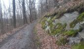 Trail Walking Spa - spa . marteau . spaloumont . warfaz . fraiseuse . spa - Photo 10