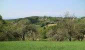 Trail On foot Hausmannstätten - GSR Südring - Photo 2