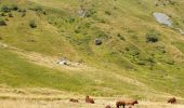 Trail Walking Mont-Dore - La montée au Puy de Sancy par Mont Dore - Photo 11