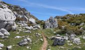 Trail Walking Rougon - GR4 Jour 7 Rougon - Le Mourre de Chanier 23-05-2021 - Photo 2