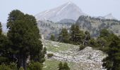 Randonnée Marche Die - Le Glandasse - Col des Bachassons par Valcroissant - Photo 18