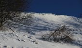 Tour Zu Fuß Gersfeld - Rhön-Rundweg 4 Wasserkuppe - Photo 5