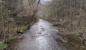 Tocht Stappen Waimes - ROBERTVILLE ... par le Château de REINHARDSTEIN.  - Photo 10