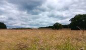 Percorso Marcia Theux - tancremont - mousset versant vesdre retour via versant hoegne - Photo 9