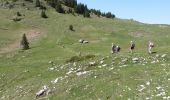 Trail Walking Gex - Jura (col de la faucille) 04-06-19 - Photo 5