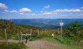 Excursión Senderismo Luttenbach-près-Munster - Autour du Petit Ballon et ses fermes auberges - Photo 16