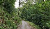 Trail Walking Bouillon - Promenade du Moulin du Rivage. (3,5km) - Photo 13