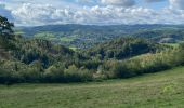 Tour Wandern Hotton - Werpin pvl - Photo 7