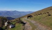 Randonnée Marche Ainhoa - Ainhoa. Col de 3 croix - Photo 10