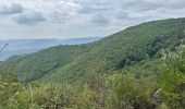 Trail Walking Coux - Coux Jaubernie Serre Gruas Azur  - Photo 7