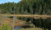 Tour Zu Fuß Seeboden am Millstätter See - 23: Samkt Wolfgang - Egelsee - Photo 6