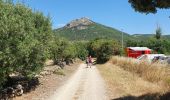 Excursión Senderismo Cabrières -  les crêtes de vissou - Photo 2