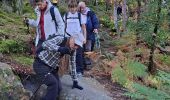 Tocht Stappen Fontainebleau - T1-Grotte Beatrix  - Photo 9